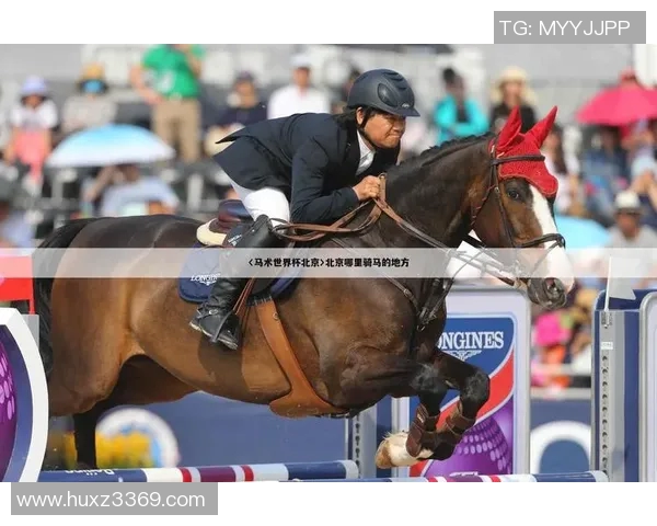 奥运会项目中裁判主观评分公正性及舆情影响分析模型研究